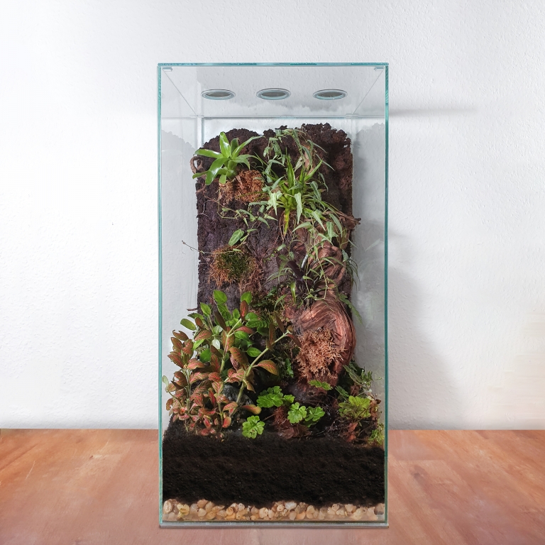 ANTCUBE Vivarium 30x30x60 - Tower